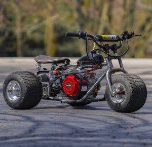 Pioneer Flame Mini Trike for Sale